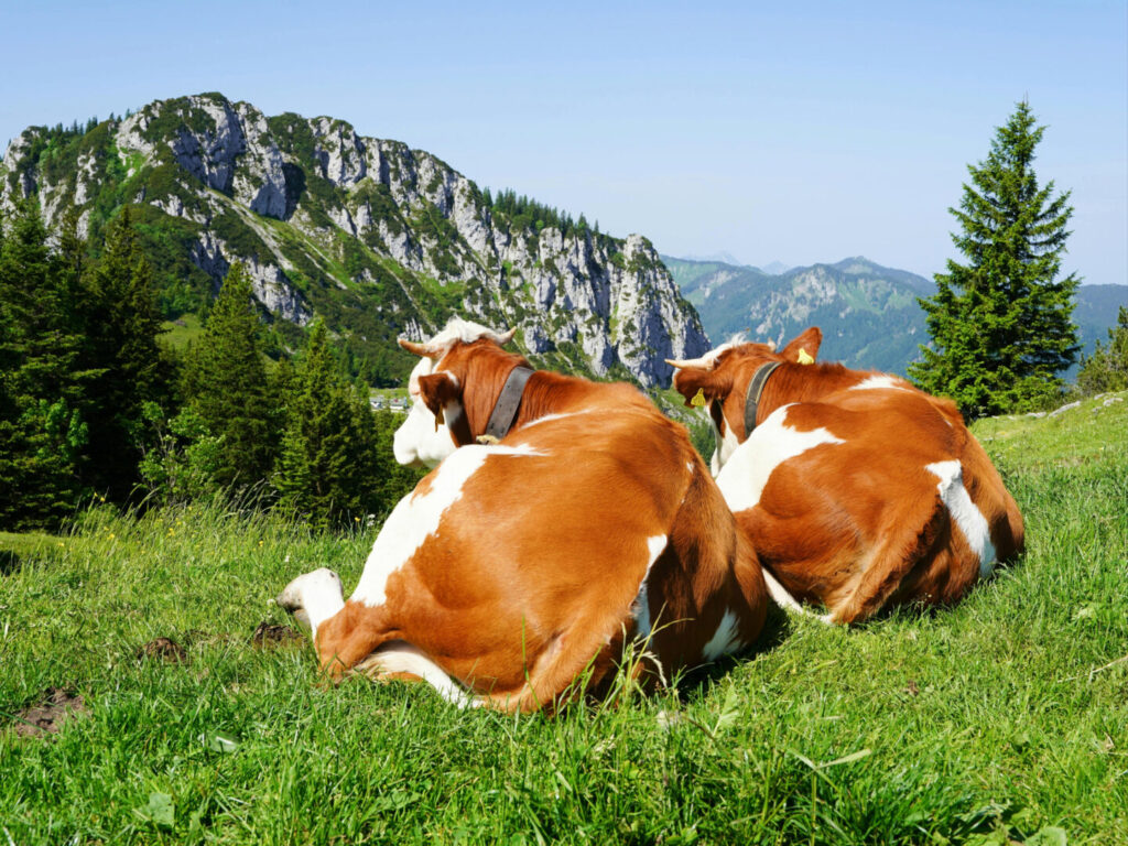 Allgäu Allgäu Deutschland